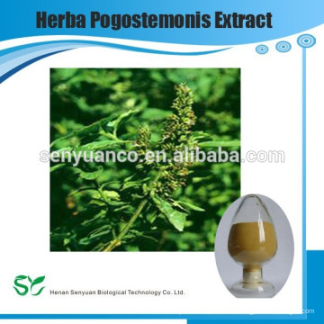 Nutramax Versorgung-100% natürliche Herba Pogostemonis P.E. 5: 1 10: 1